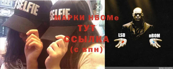 ПСИЛОЦИБИНОВЫЕ ГРИБЫ Бородино