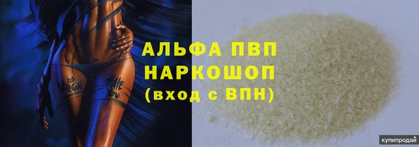 ПСИЛОЦИБИНОВЫЕ ГРИБЫ Бородино