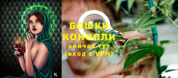ПСИЛОЦИБИНОВЫЕ ГРИБЫ Бородино
