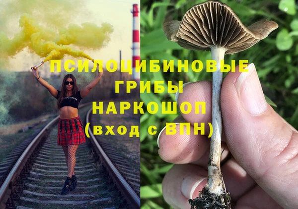 прущий лед Бронницы