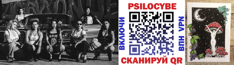 Купить закладки  Дивногорск  Галлюциногенные грибы прущие грибы 